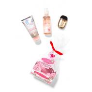 Gift Set SNOWFLAKES AND CASHMERE SCC Bath and Body Works