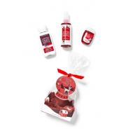 Gift Set WINTER CANDY APPLE Deck Bath and Body Works