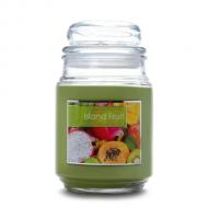 Grande bougie ISLAND FRUIT Colonial Candle