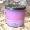 Bougie 3 mèches LOVE POTION Colonial Candle