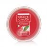 Meltcup CHERRIES ON SNOW Yankee Candle exclu US USA