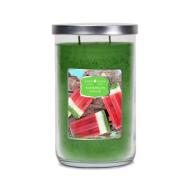 Tumbler 2 mèches WATERMELON CHILLER Goose Creek Candle