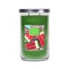 Tumbler 2 mèches WATERMELON CHILLER Goose Creek Candle
