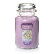 Grande Jarre JELLY BEANS Yankee Candle