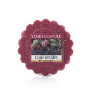 Tartelette de cire parfumée LUSH BERRIES Yankee Candle wax tart US USA