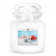 Moyenne Jarre 2 mèches WHITE CORAL Goose Creek Candle