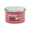 Bougie 3 mèches WILD CRANBERRY Colonial Candle
