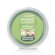 Meltcup SNOW DUSTED BAYBERRY LEAF Yankee Candle