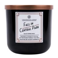 Bougie 2 mèches FALL IN CENTRAL PARK Chesapeake Bay Candle US