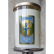 Grand Tumbler 2 mèches THE LAND OF SNOW Yankee Candle